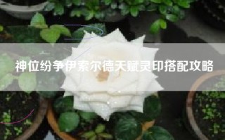 神位纷争伊索尔德天赋灵印搭配攻略