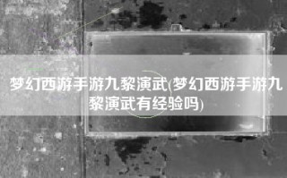 梦幻西游手游九黎演武(梦幻西游手游九黎演武有经验吗)
