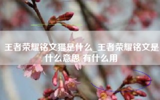 王者荣耀铭文猫是什么_王者荣耀铭文是什么意思 有什么用
