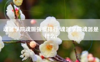 魂器学院魂姬强度排行(魂器学院魂器是什么)