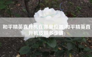 和平精英直升机在哪里位置(和平精英直升机皮肤多少钱)