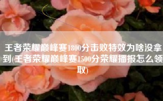 王者荣耀巅峰赛1800分击败特效为啥没拿到(王者荣耀巅峰赛1500分荣耀播报怎么领取)