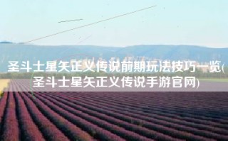 圣斗士星矢正义传说前期玩法技巧一览(圣斗士星矢正义传说手游官网)