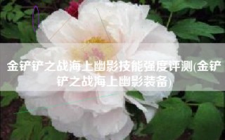 金铲铲之战海上幽影技能强度评测(金铲铲之战海上幽影装备)