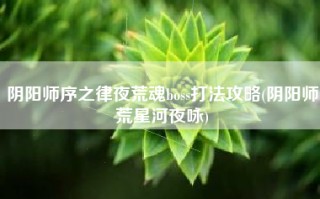 阴阳师序之律夜荒魂boss打法攻略(阴阳师荒星河夜咏)