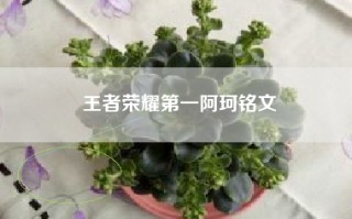 王者荣耀第一阿珂铭文