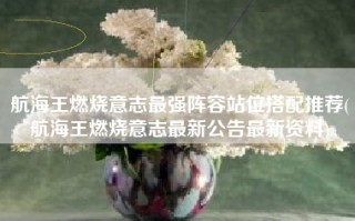 航海王燃烧意志最强阵容站位搭配推荐(航海王燃烧意志最新公告最新资料)