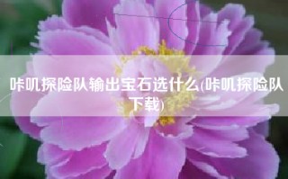 咔叽探险队输出宝石选什么(咔叽探险队下载)