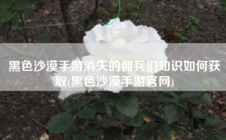 黑色沙漠手游消失的佣兵们知识如何获取(黑色沙漠手游官网)