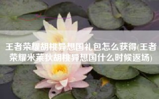 王者荣耀胡桃异想国礼包怎么获得(王者荣耀米莱狄胡桃异想国什么时候返场)