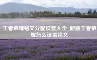 王者荣耀铭文分配设置大全_新版王者荣耀怎么设置铭文