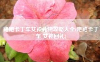 跑跑卡丁车女神礼物攻略大全(跑跑卡丁车 女神回礼)