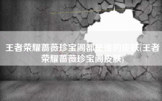 王者荣耀蔷薇珍宝阁都是谁的皮肤(王者荣耀蔷薇珍宝阁皮肤)