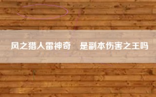风之猎人雷神奇犽是副本伤害之王吗