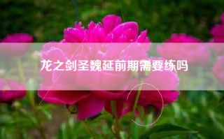龙之剑圣魏延前期需要练吗