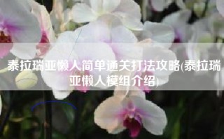泰拉瑞亚懒人简单通关打法攻略(泰拉瑞亚懒人模组介绍)