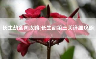 长生劫全图攻略(长生劫第三关详细攻略)