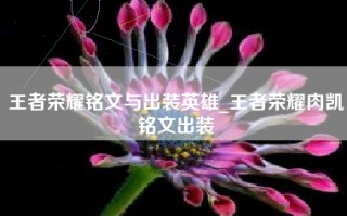 王者荣耀铭文与出装英雄_王者荣耀肉凯铭文出装
