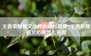 王者荣耀铭文小乔心眼和献祭_王者荣耀铭文心眼怎么获得