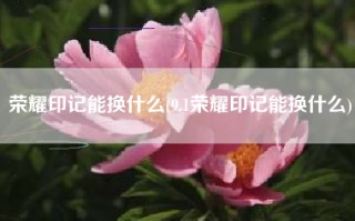 荣耀印记能换什么(9.1荣耀印记能换什么)