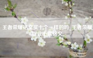 王者荣耀铭文买十个一样的吗_王者荣耀职业十套铭文