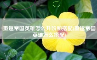重返帝国英雄怎么升阶和搭配(重返帝国英雄怎么搭配)