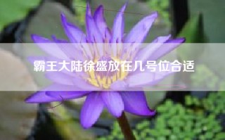霸王大陆徐盛放在几号位合适