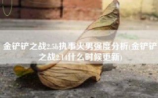 金铲铲之战2.5b执事火男强度分析(金铲铲之战2.14什么时候更新)