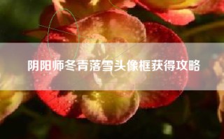阴阳师冬青落雪头像框获得攻略