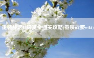 重装战姬15级赏金通关攻略(重装战姬wiki)