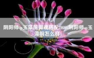 阴阳师sp玉藻前御魂搭配2021(阴阳师sp玉藻前怎么样)