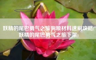 妖精的尾巴勇气之旅狗粮材料速刷攻略(妖精的尾巴勇气之旅下架)