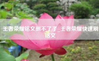 王者荣耀铭文删不了了_王者荣耀快速刷铭文