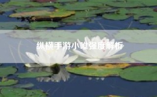 纵横手游小唯强度解析