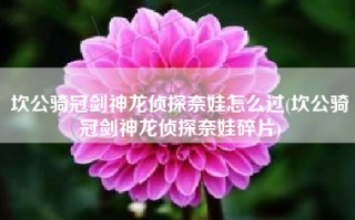 坎公骑冠剑神龙侦探奈娃怎么过(坎公骑冠剑神龙侦探奈娃碎片)