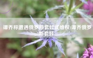 谭乔称遭遇俄罗斯套娃式维权(谭乔俄罗斯套娃)
