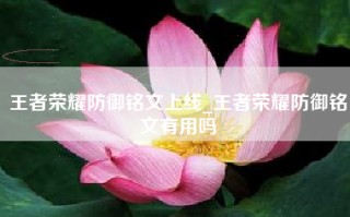 王者荣耀防御铭文上线_王者荣耀防御铭文有用吗