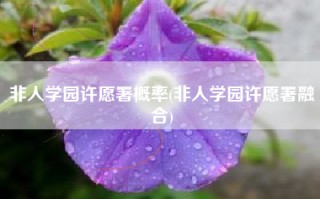 非人学园许愿署概率(非人学园许愿署融合)