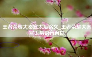 王者荣耀大秦宣太后铭文_王者荣耀大秦宣太后语音台词