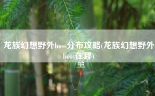 龙族幻想野外boss分布攻略(龙族幻想野外boss在哪)