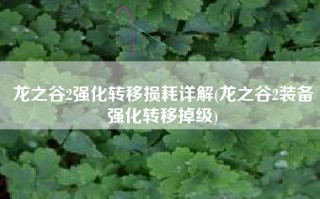 龙之谷2强化转移损耗详解(龙之谷2装备强化转移掉级)