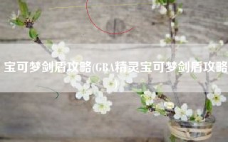 宝可梦剑盾攻略(GBA精灵宝可梦剑盾攻略)
