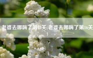 老婆去哪嗨了第15关(老婆去哪嗨了第16关)