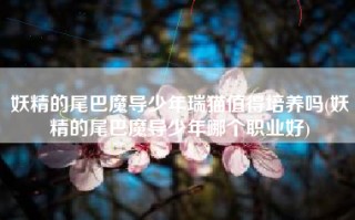 妖精的尾巴魔导少年瑞猫值得培养吗(妖精的尾巴魔导少年哪个职业好)