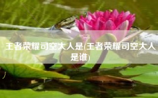 王者荣耀司空大人是(王者荣耀司空大人是谁)