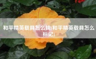 和平精英载具怎么找(和平精英载具怎么标记)