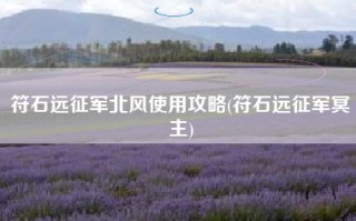 符石远征军北风使用攻略(符石远征军冥主)