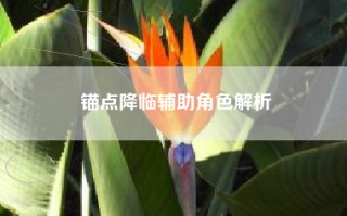 锚点降临辅助角色解析