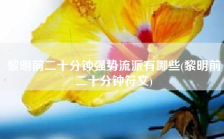 黎明前二十分钟强势流派有哪些(黎明前二十分钟符文)