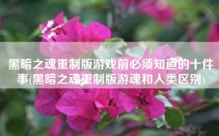黑暗之魂重制版游戏前必须知道的十件事(黑暗之魂重制版游魂和人类区别)